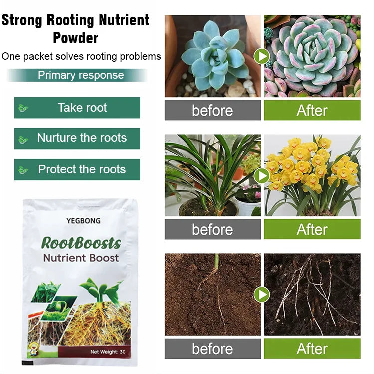 ✨Plant Hair Root Growth Nutrition Powder