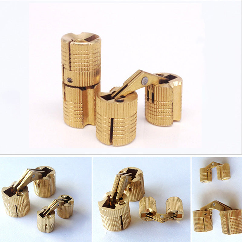 Concealed Brass Hinges