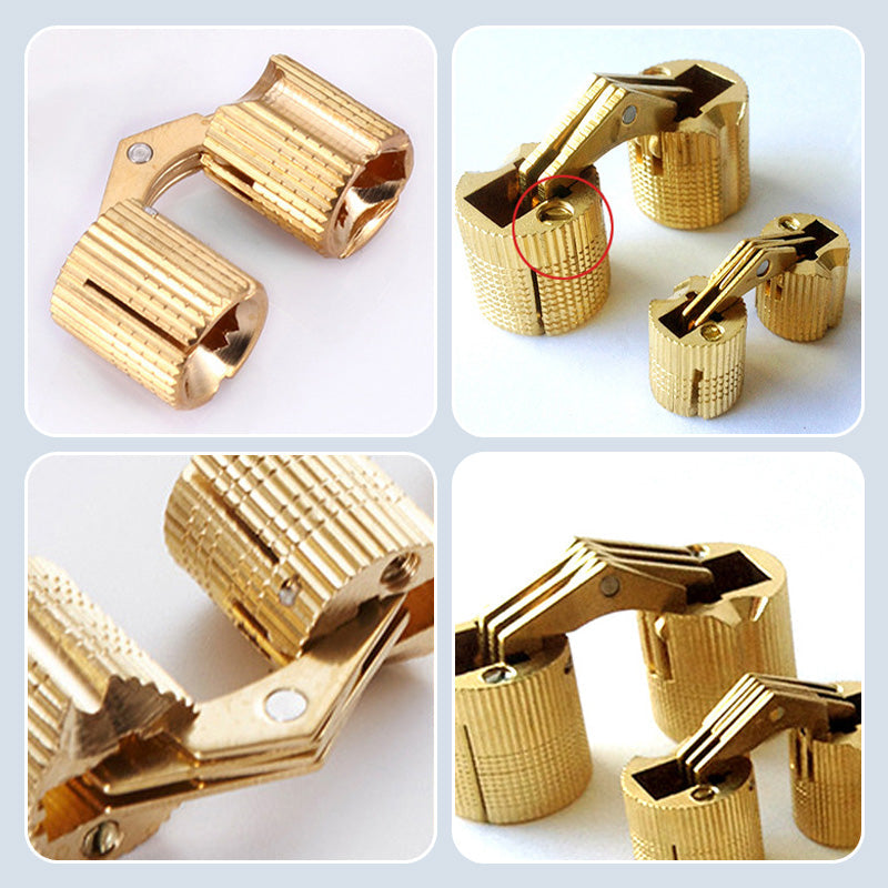 Concealed Brass Hinges
