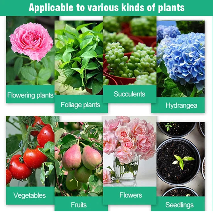 ✨Plant Hair Root Growth Nutrition Powder