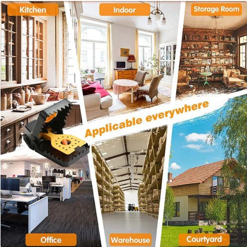 Automatic Sensitive Mousetrap