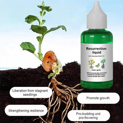 👍[Recommended by plant experts]🌿Plant and Flower Activation Liquid Solution
